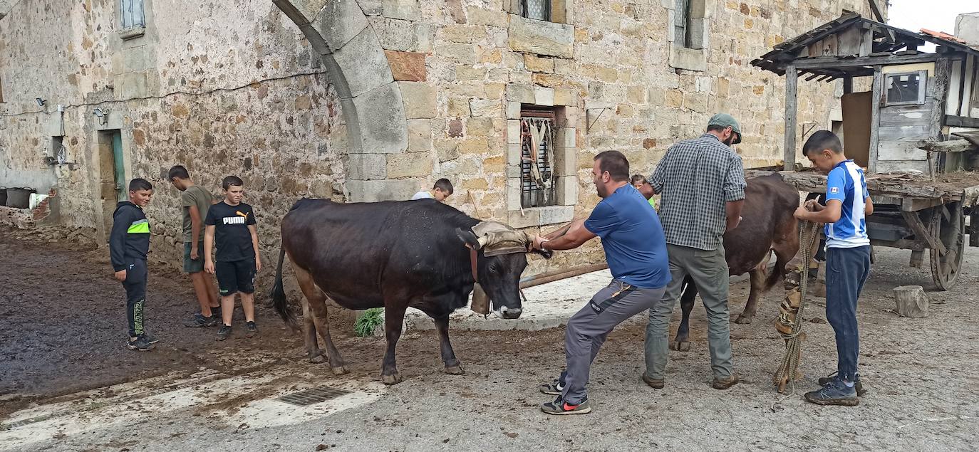 Fotos: Preparados para el Día de Campoo