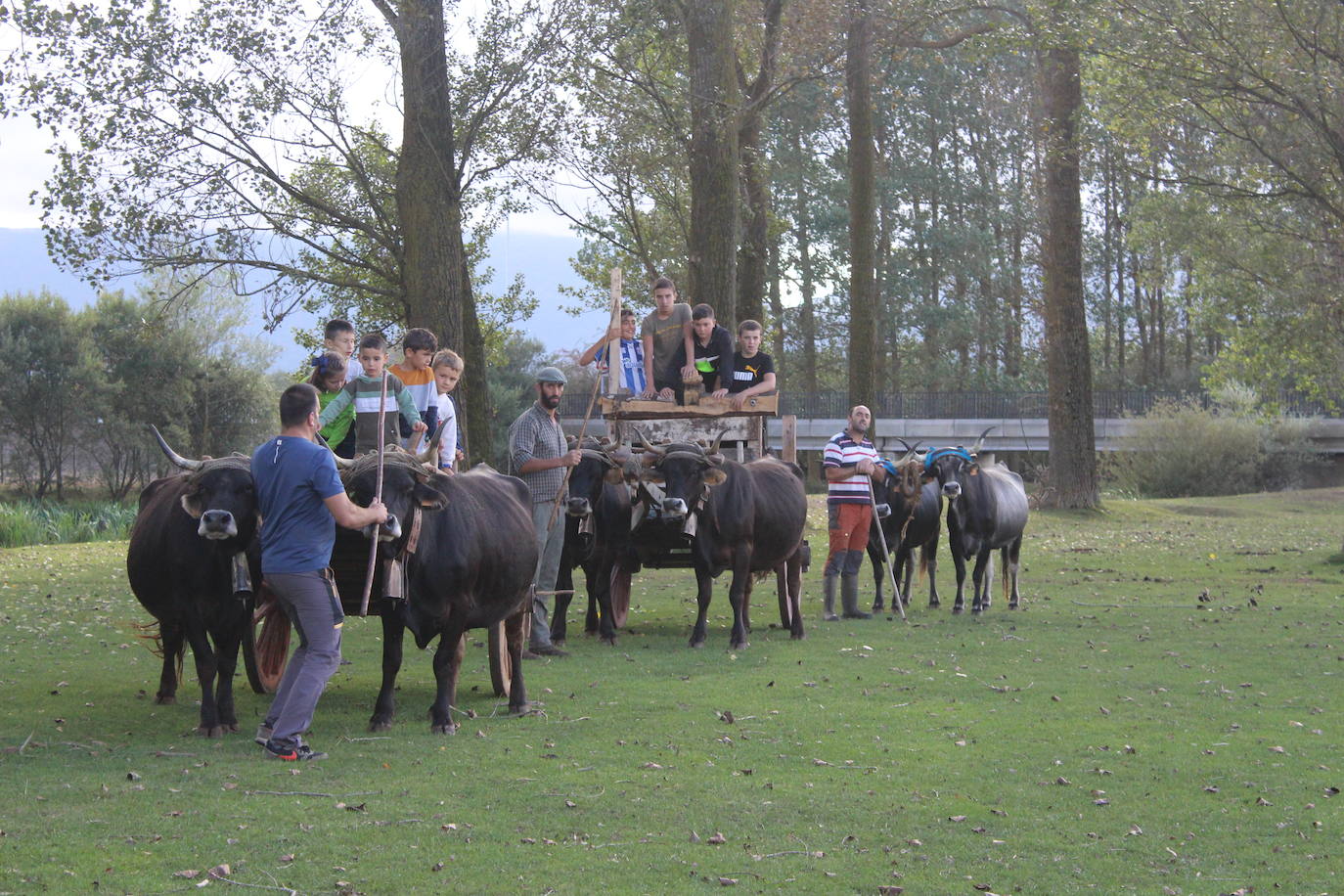 Fotos: Preparados para el Día de Campoo