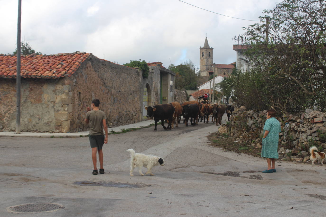 Fotos: Preparados para el Día de Campoo