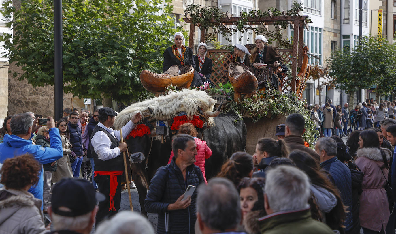 Fotos: Campoo recupera su tradición matea