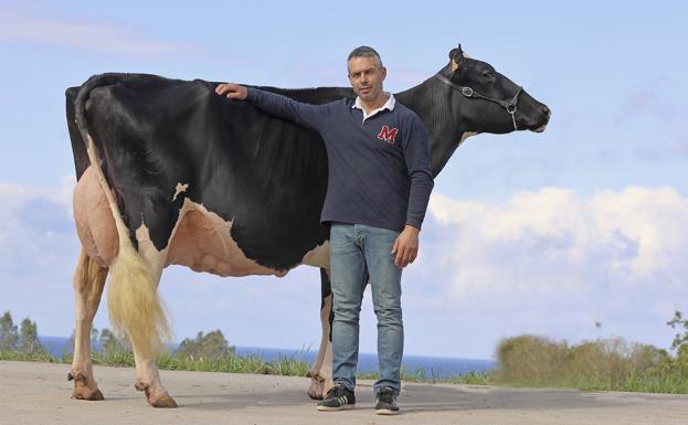 Agapito Fernández posa junto a la mejor frisona de España.