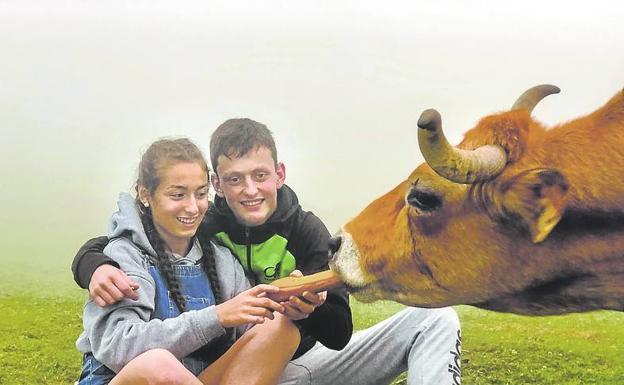 Experiencias en la ganadería Val del Mazo.