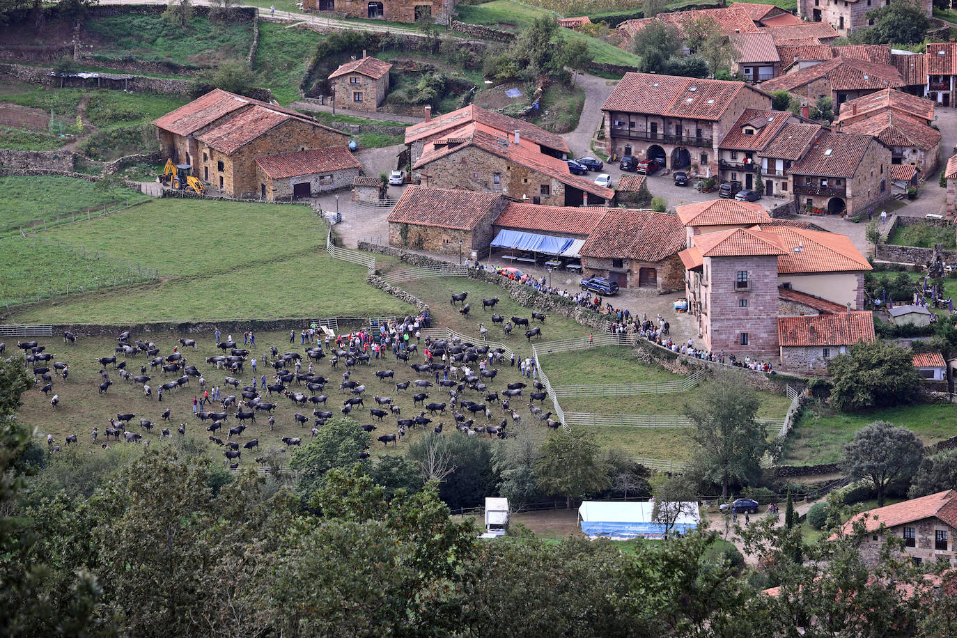 Fotos: La pasá de Carmona