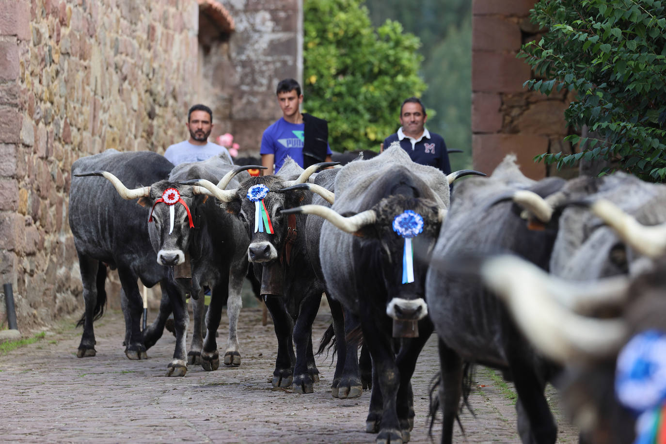 Fotos: La pasá de Carmona