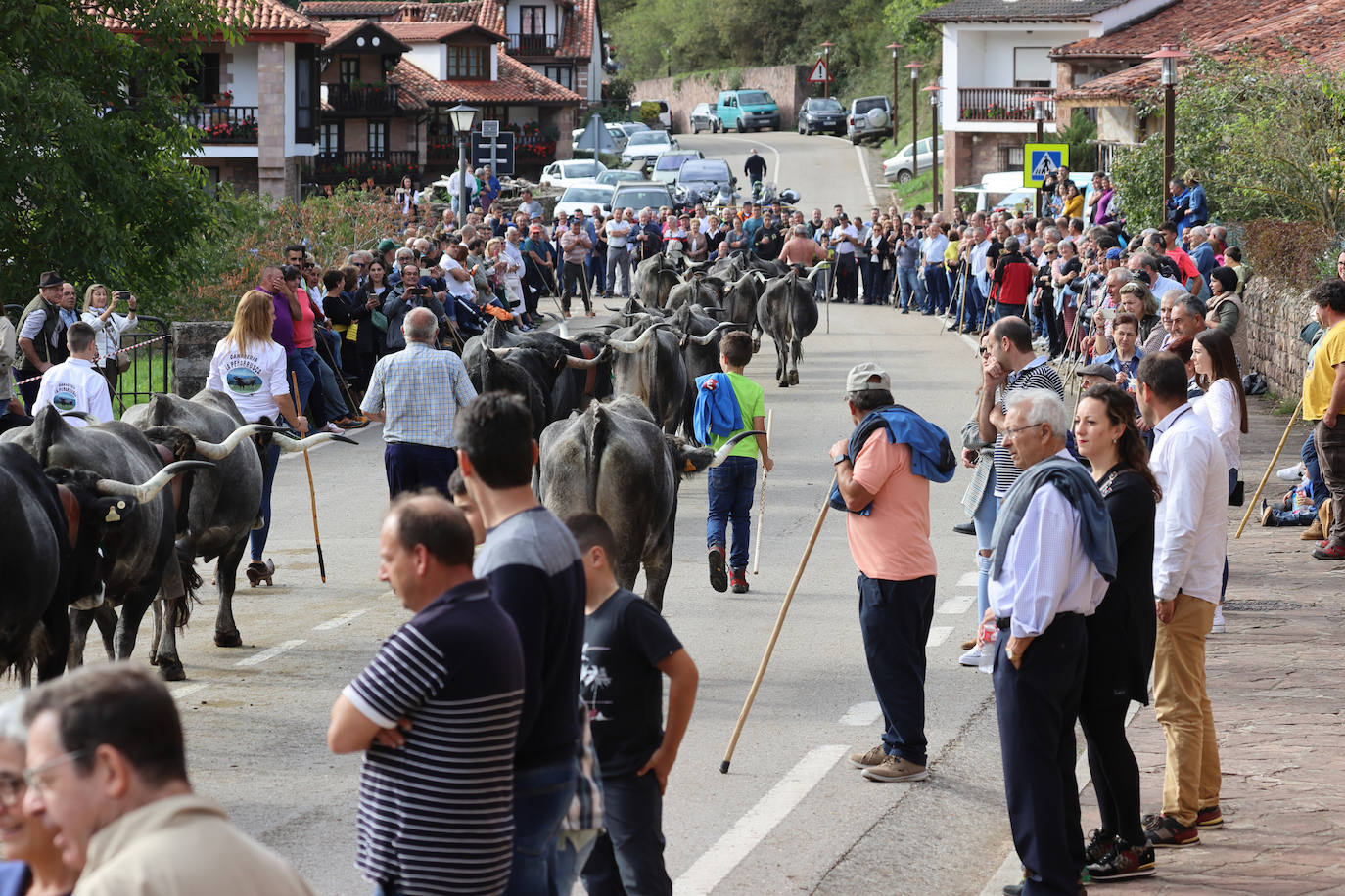 Fotos: La pasá de Carmona