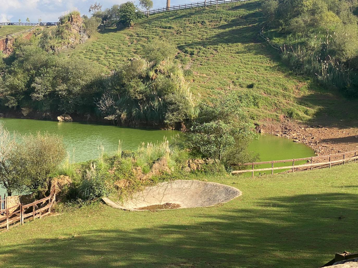 Fotos: El lago verde aceituna de Cabárceno