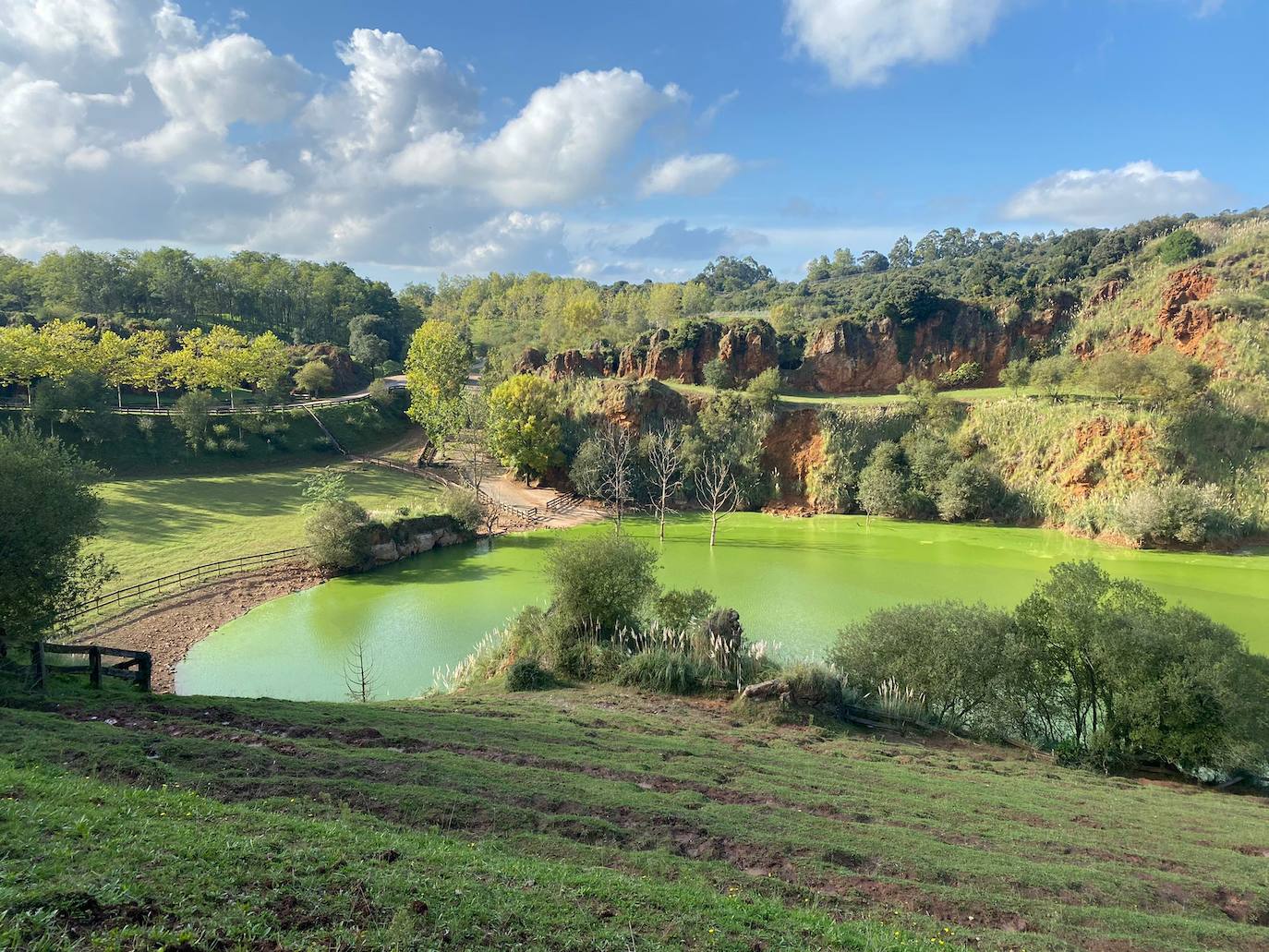 Fotos: El lago verde aceituna de Cabárceno