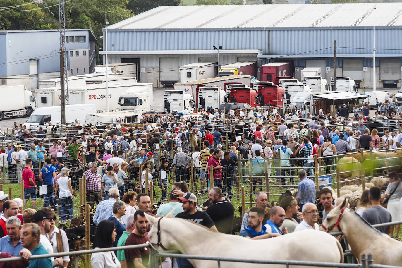 Fotos: La feria de San Lucas en Hoznayo, en imágenes