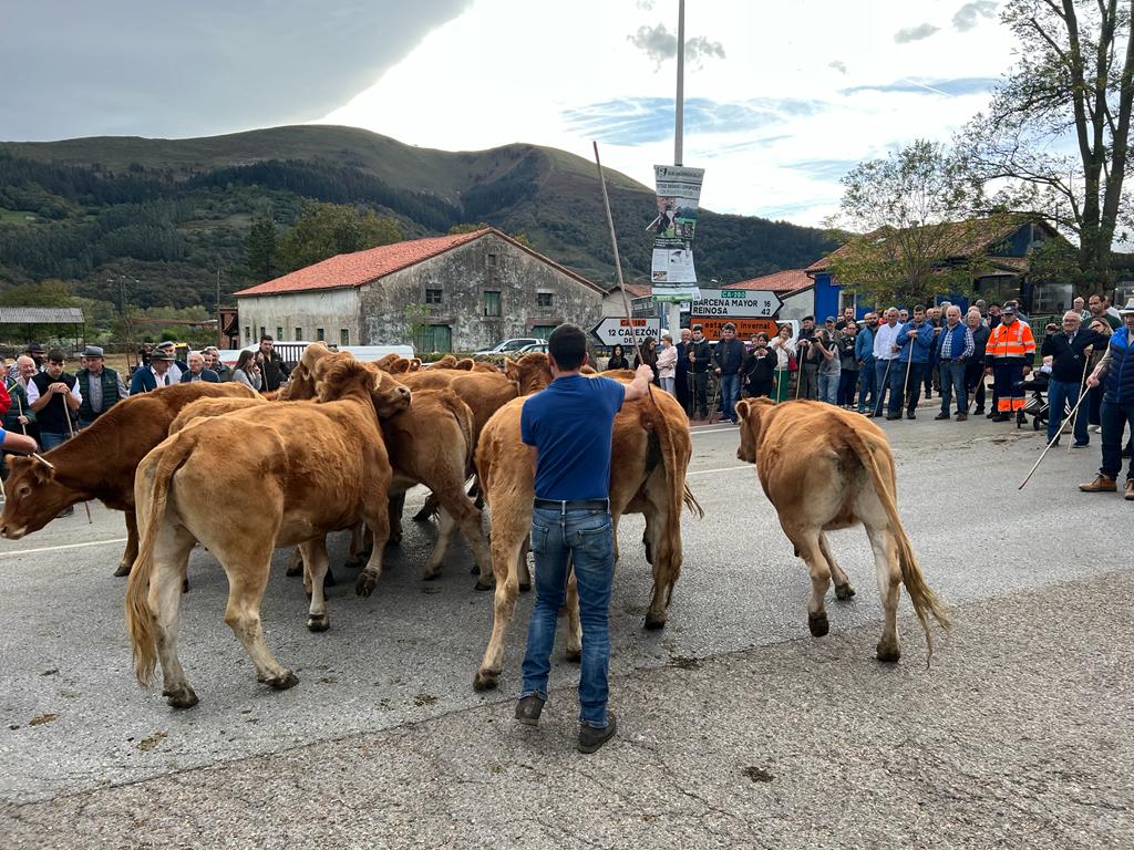 Fotos: Multitudinaria feria ganadera en Cabuérniga