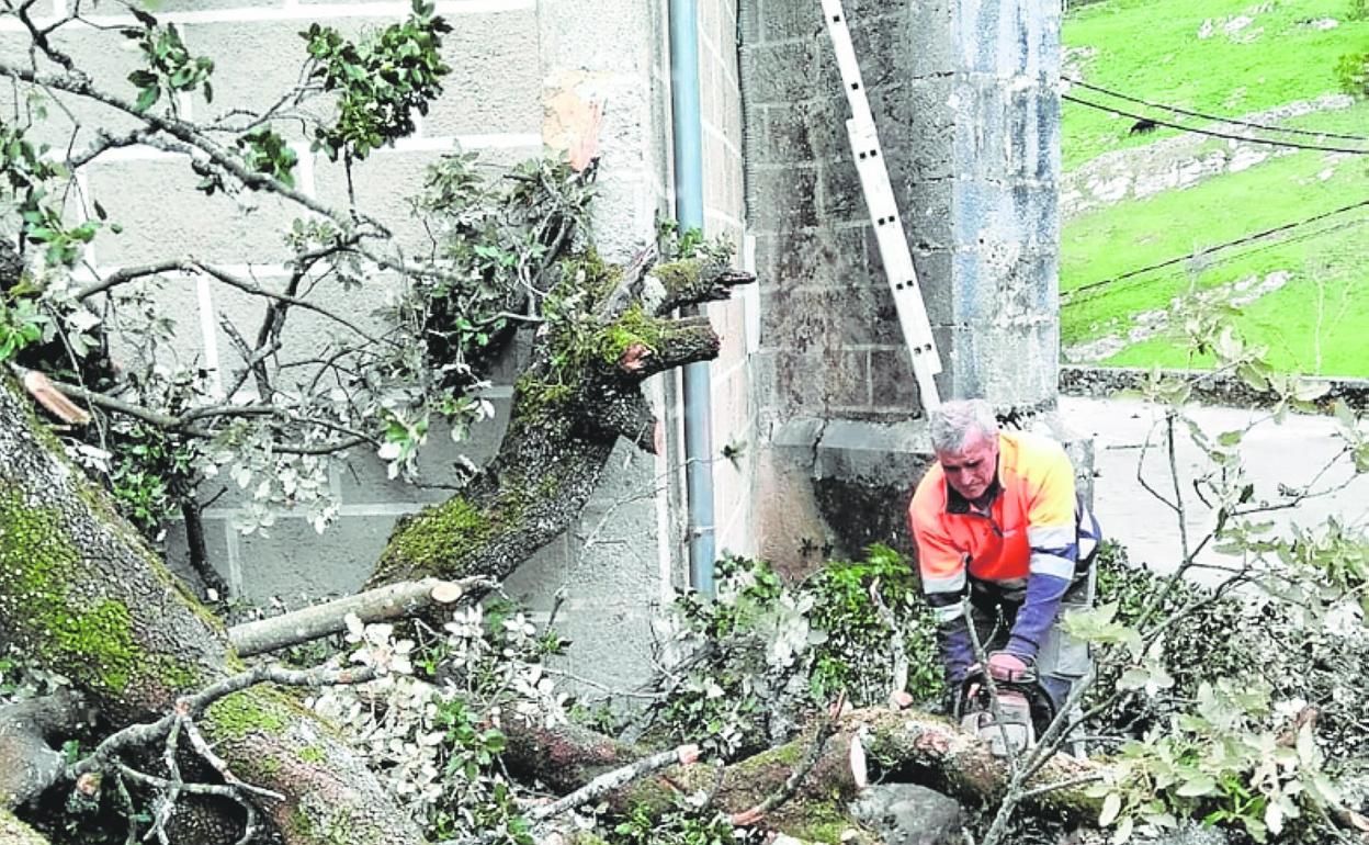 Un operario retira los restos del árbol caídos sobre la iglesia. 