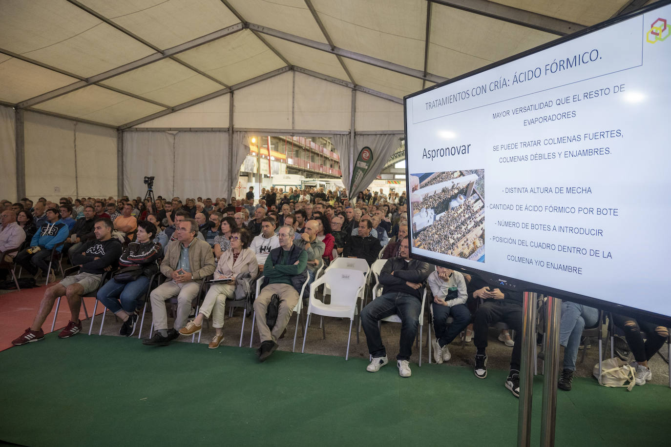 Fotos: Imágenes de la Feria Nacional Apícola