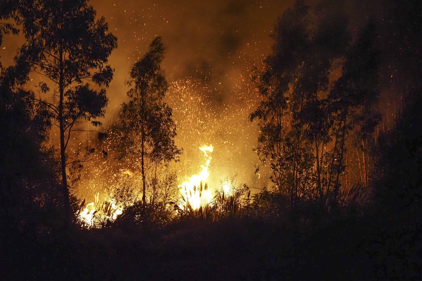 Fotos: Imágenes del incendio en Loredo