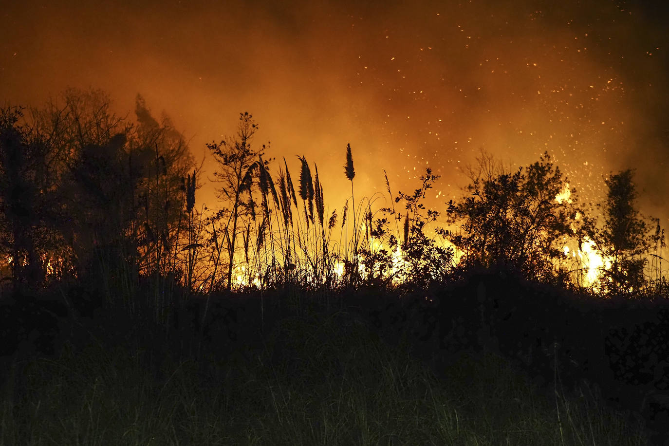 Fotos: Imágenes del incendio en Loredo