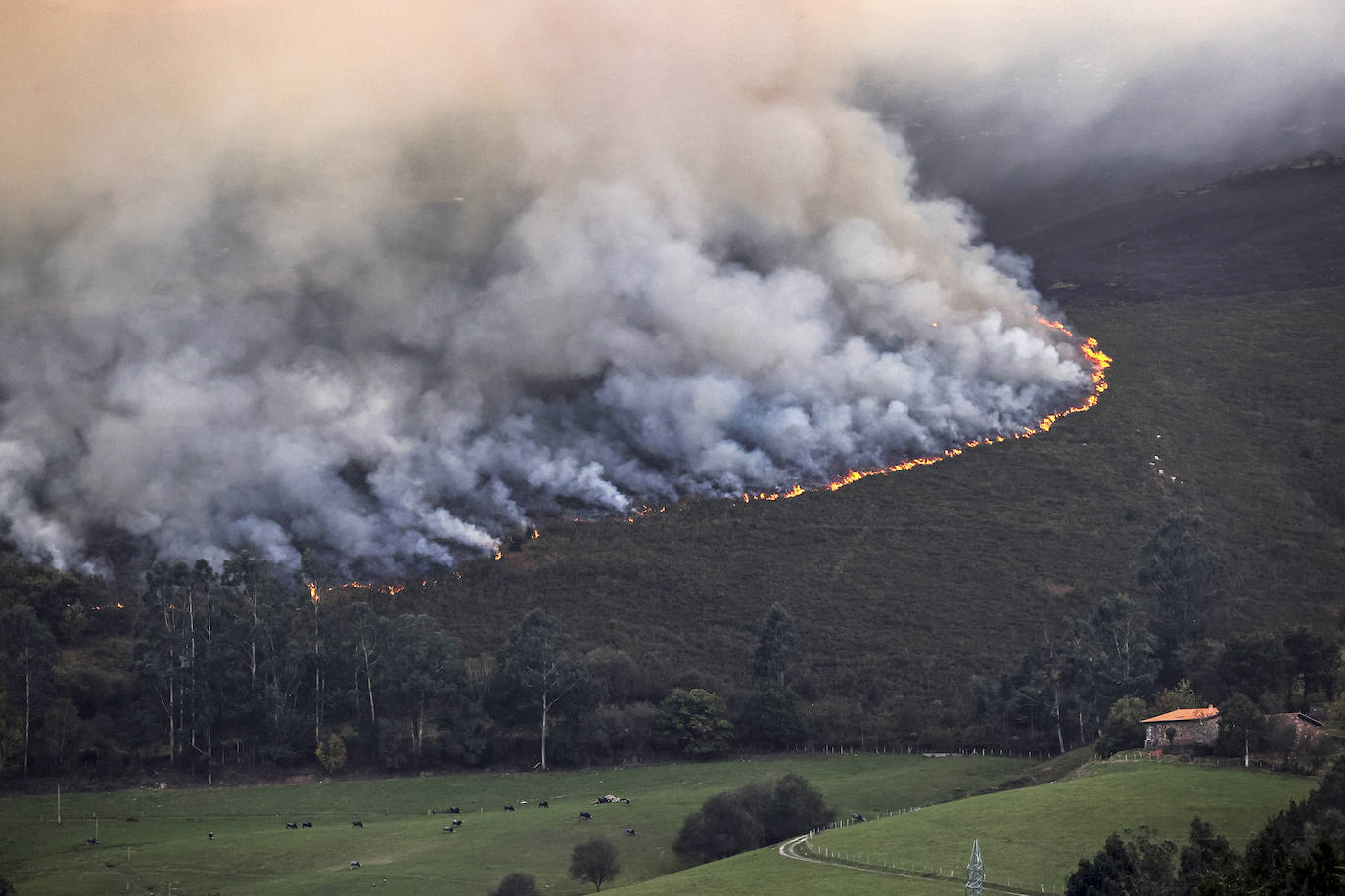 Fotos: Imágenes del incendio de Mazcuerras, este viernes por la mañana