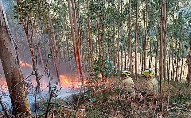 Galería. Operativo desplegado en comarca forestal 13, con base en Ontoria