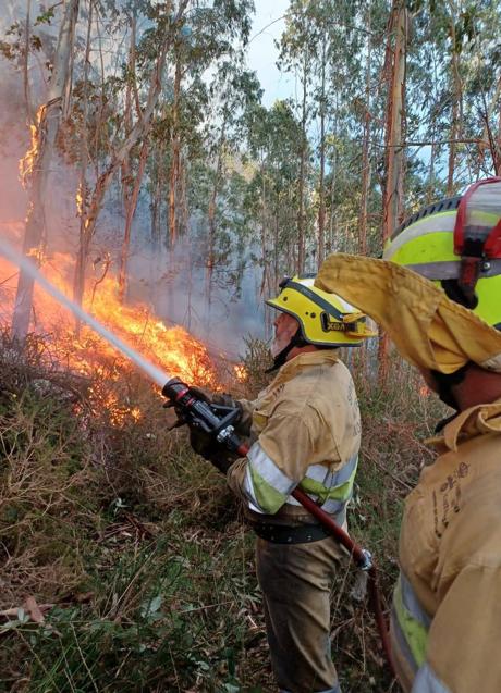 Imagen - Los operativos siguen luchando este sábado los incendios forestales provocados.