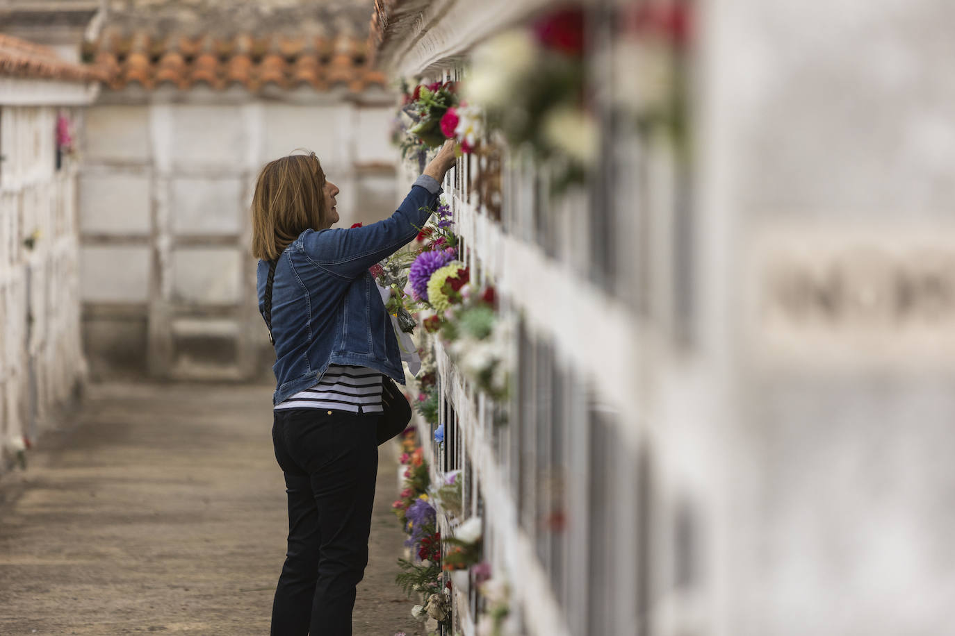 Fotos: Ciriego se llena de flores