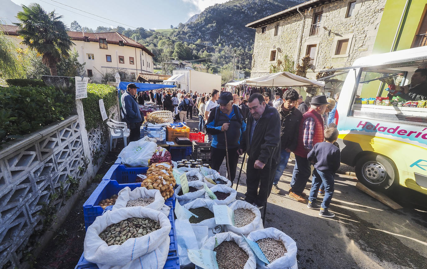 Miles de personas no se han querido perder el regreso de una de las clásicas citas ganaderas de Cantabria