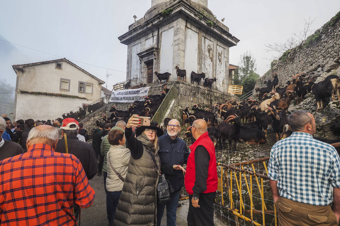 Miles de personas no se han querido perder el regreso de una de las clásicas citas ganaderas de Cantabria