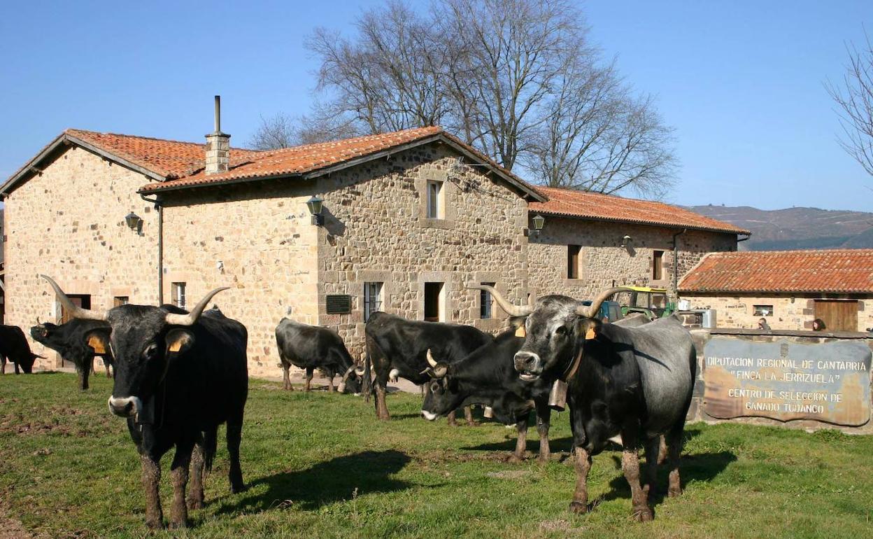 Acuerdo para prorrogar cuatro años más la explotación de la finca La Jerrizuela en Los Corrales