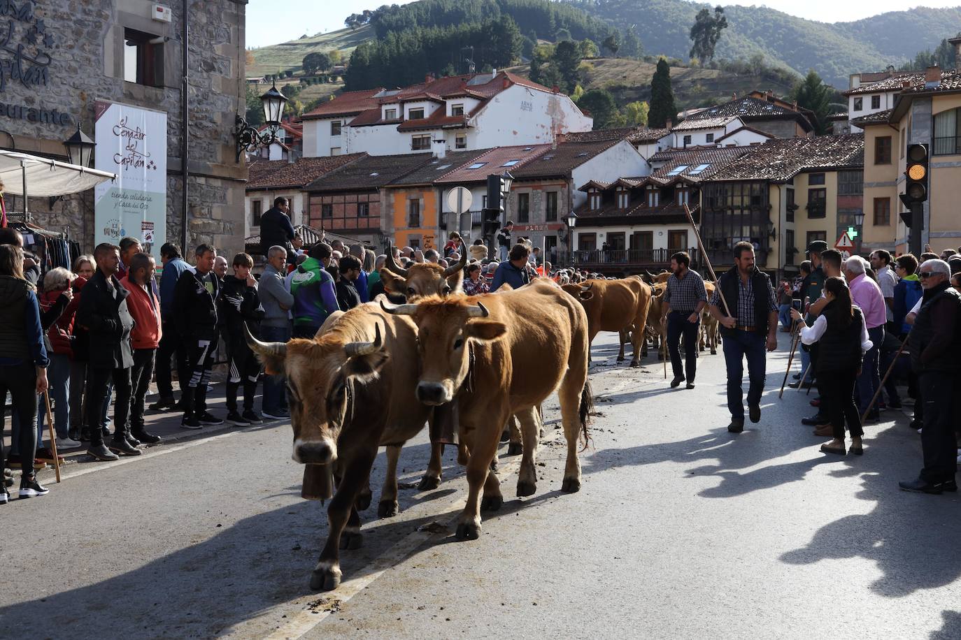 Fotos: La Feria de los Santos de Potes, en imágenes