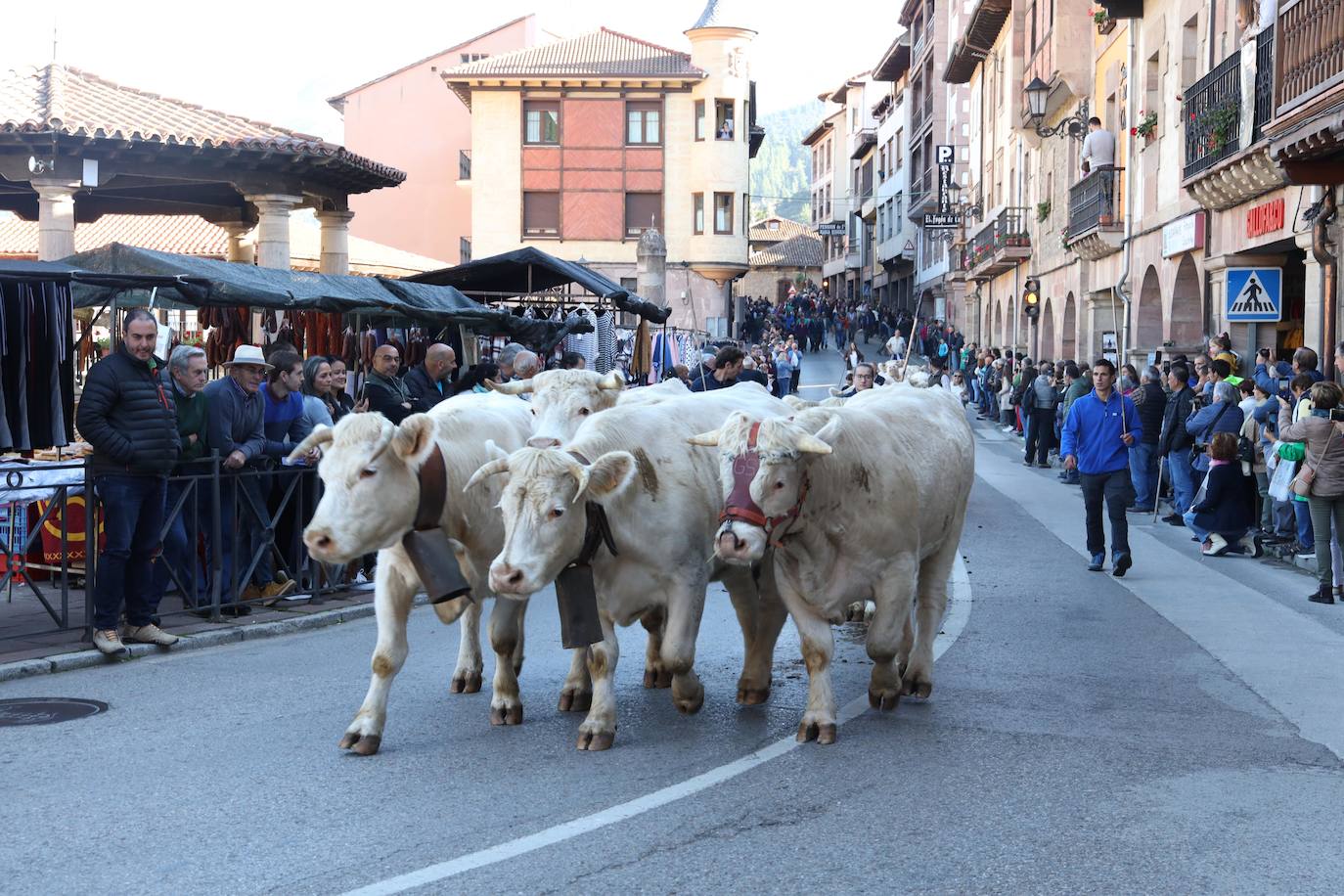 Fotos: La Feria de los Santos de Potes, en imágenes