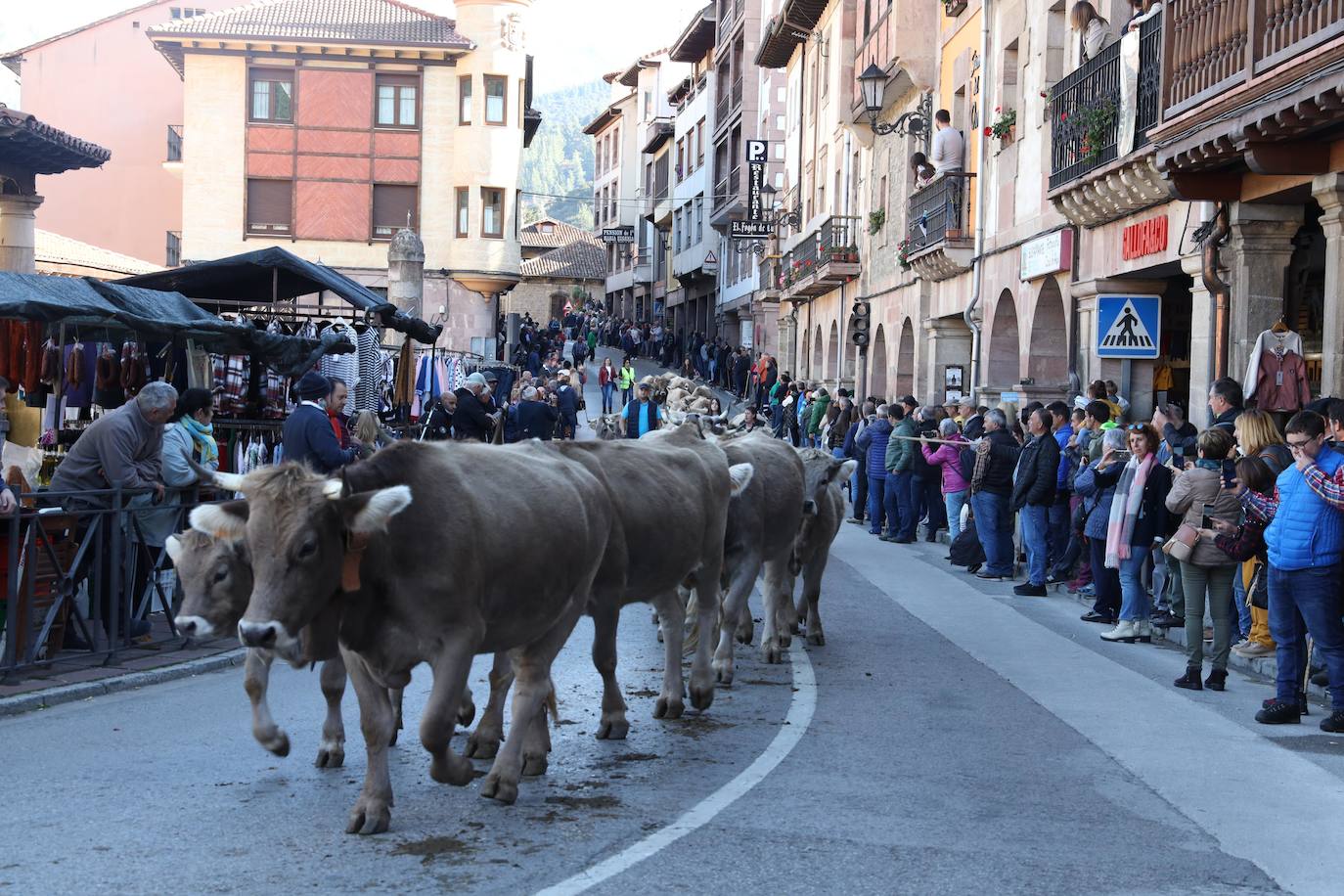 Fotos: La Feria de los Santos de Potes, en imágenes