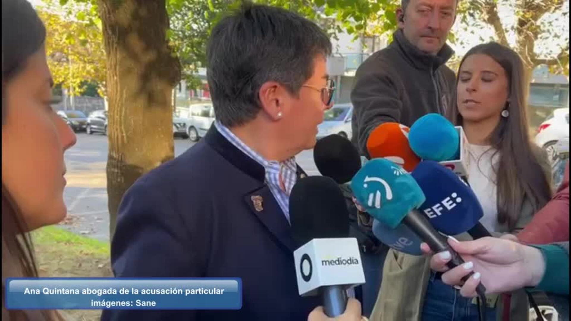 Declaraciones de la abogada Ana Quintana