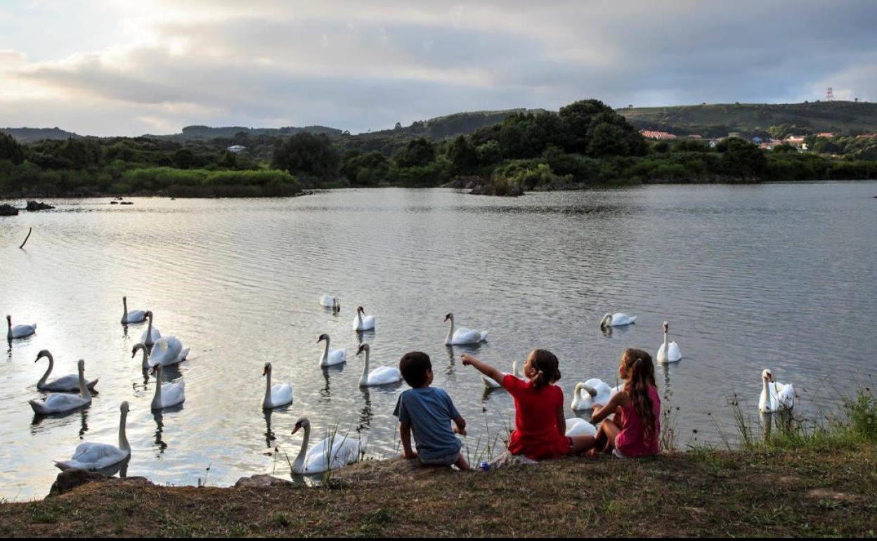 Imagen del Ecoparque de Trasmiera.