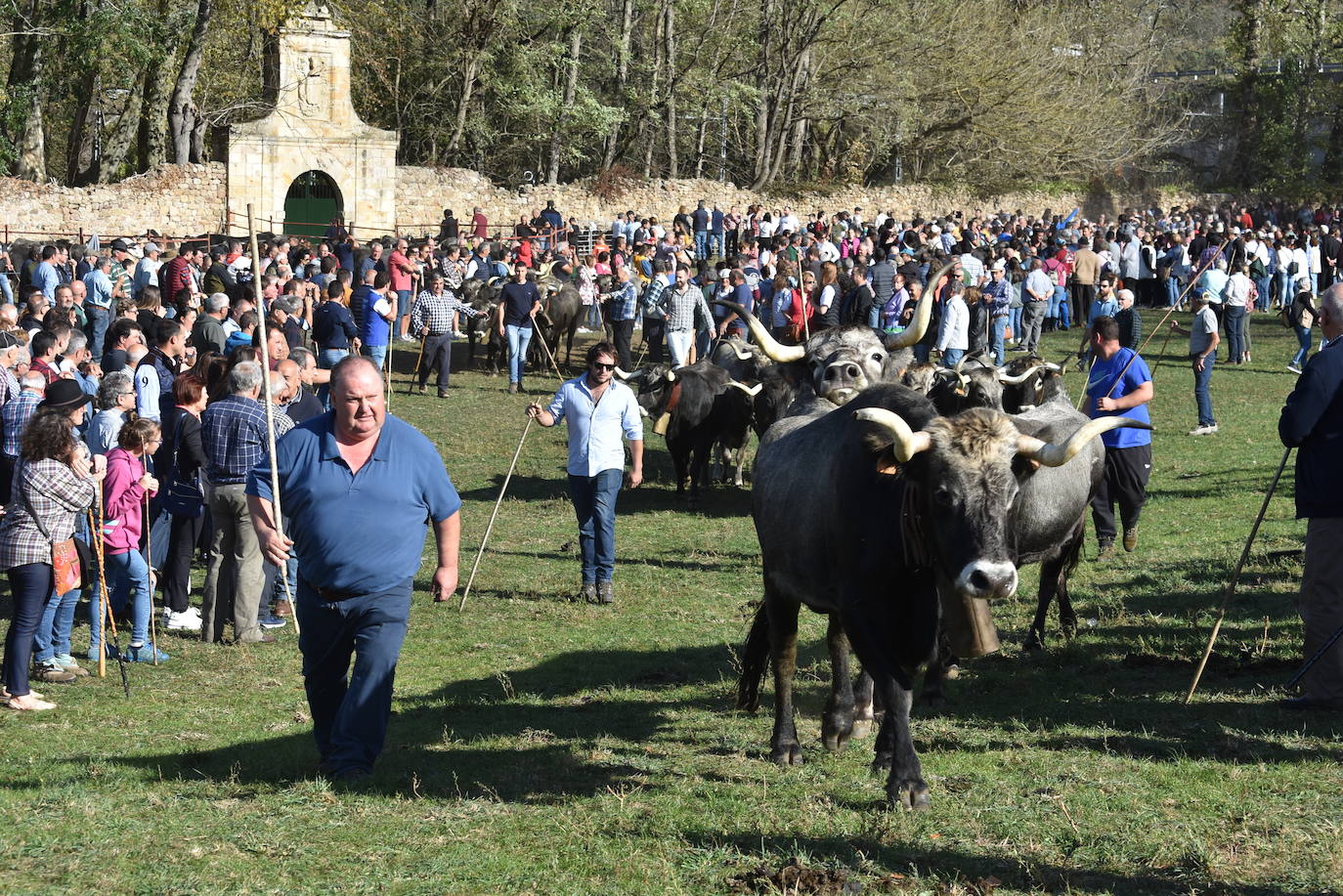 Fotos: La feria de Arenas de Iguña, en imágenes