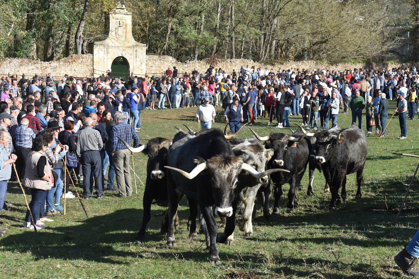 Fotos: La feria de Arenas de Iguña, en imágenes