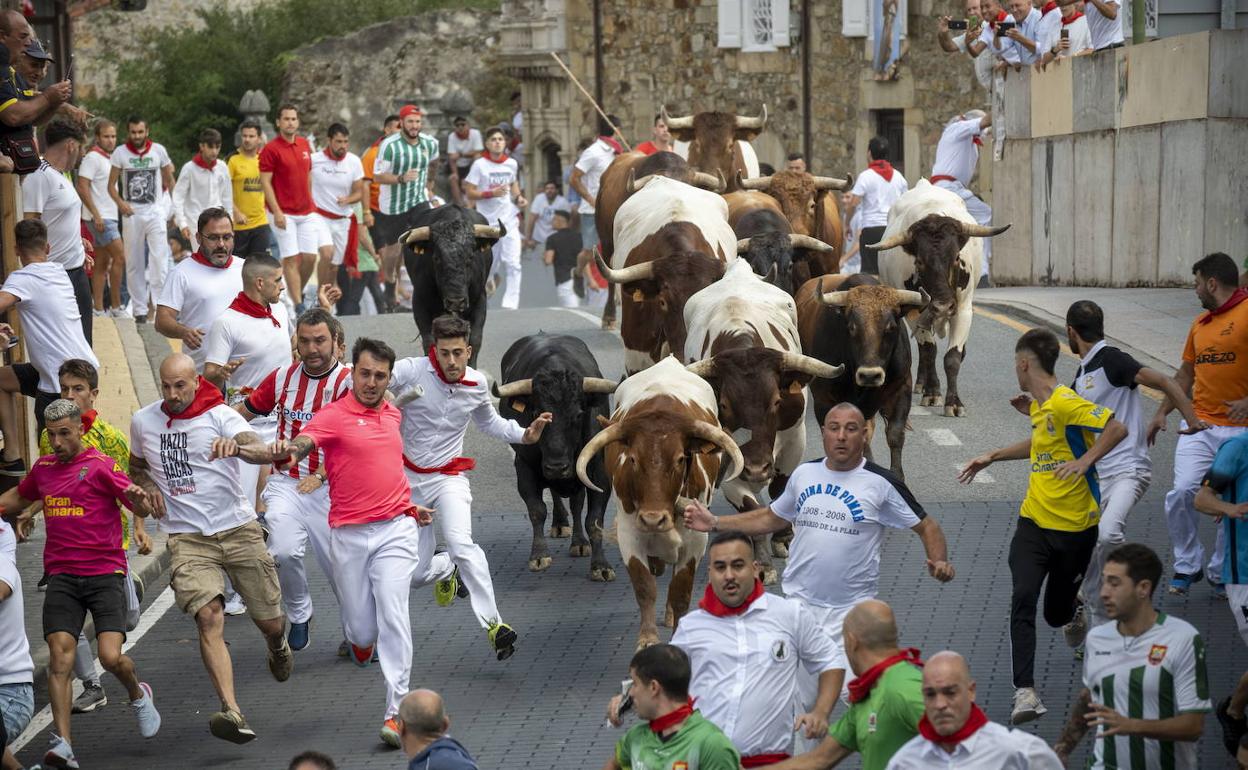 Imagen de un encierro en Ampuero el pasado mes de septiembre.