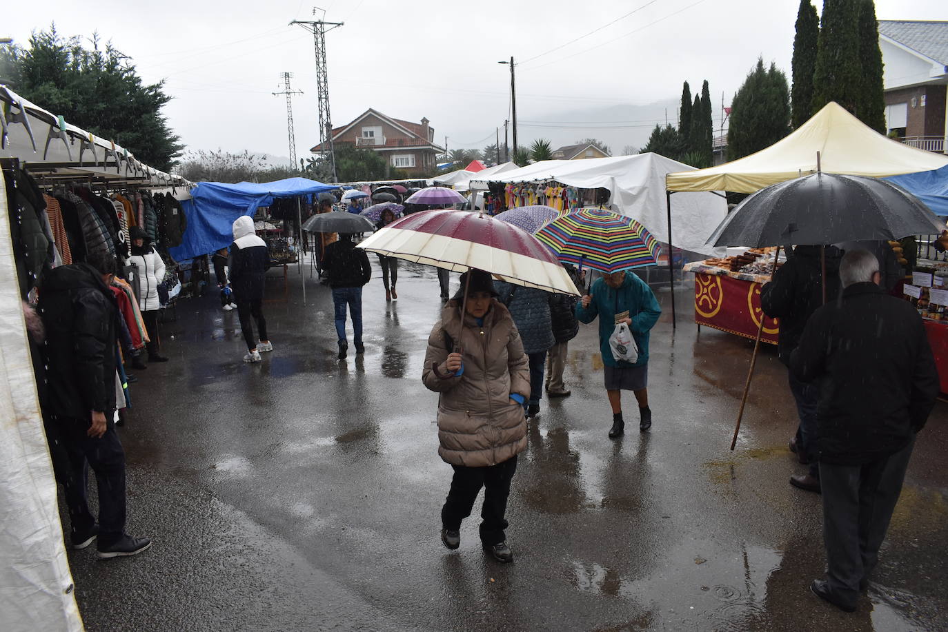 Fotos: Feria de ganado en San Felices de Buelna