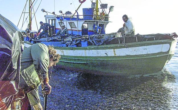 Los pescadores salieron con sus embarcaciones en busca del vertido. 