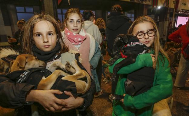 Rocío Palencia y Julia Cobo cogen a Haselnut y Floppy (desde la izquierda). 