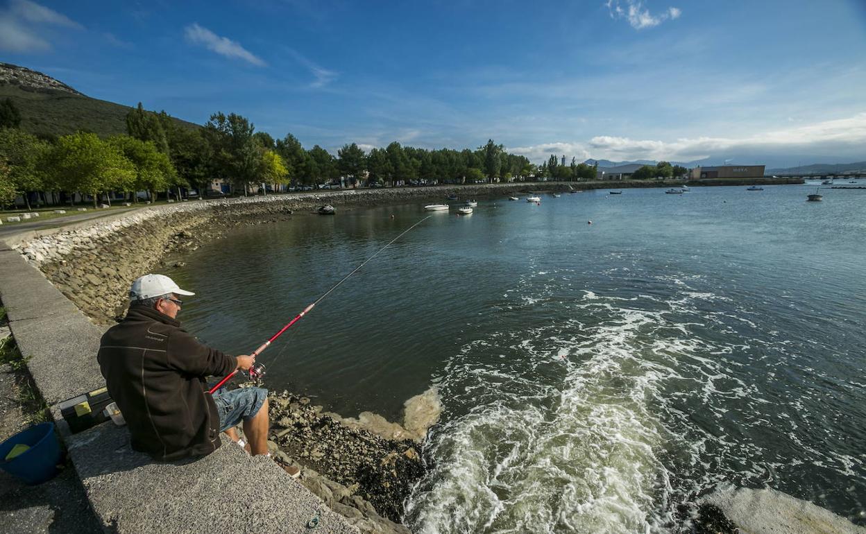 Vox lleva a Bruselas la parálisis del saneamiento de las marismas de Santoña