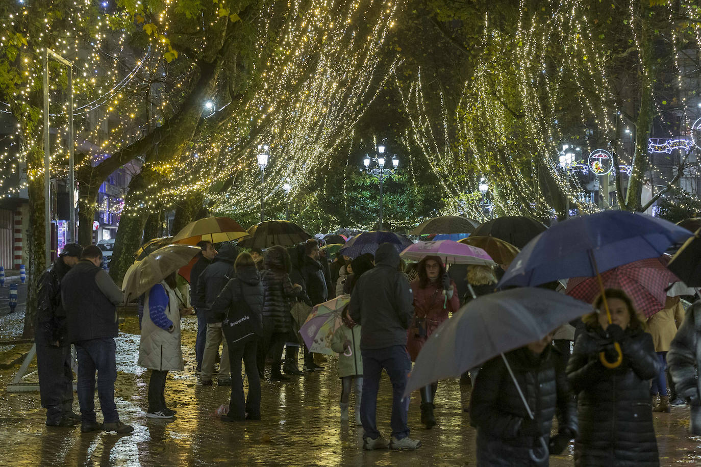 La iluminación de los 154 árboles de la calle es una de las novedades del año y alumbrarán las fiestas con 250.000 puntos de luces LED.