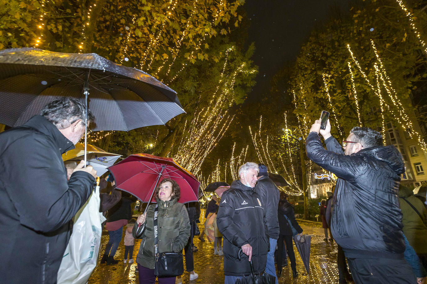 La iluminación de los 154 árboles de la calle es una de las novedades del año y alumbrarán las fiestas con 250.000 puntos de luces LED.