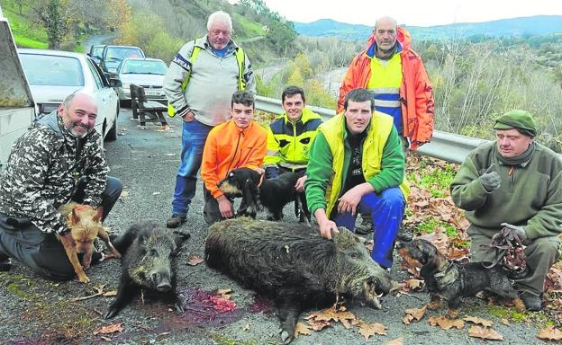 Cazadores del coto de Corvera de Toranzo, con dos jabalíes abatidos recientemente. 