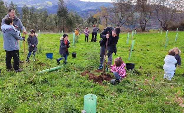 Plantados doscientos árboles autóctonos en la Sierra de la Vida