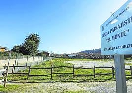 Zona donde se plantea la actuación