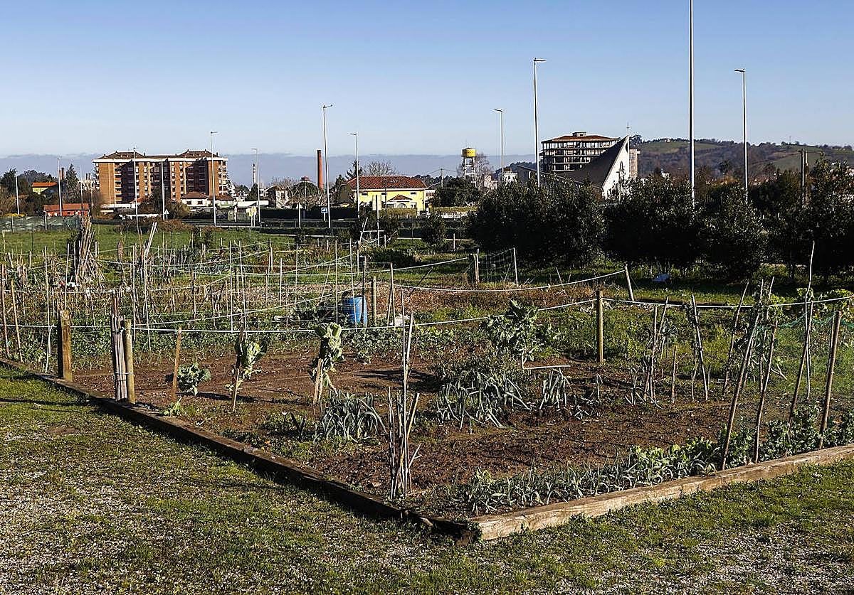 Los 45 huertos de Mies de Vega, casi en desuso en esta época del año, se habilitaron en 2017