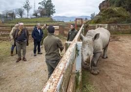 Marcano y Revilla visitan al nuevo rinoceronte de Cabárceno