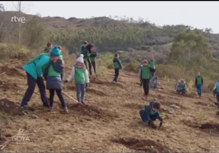 Fotograma del video 'El Bosque del Cine' grabado hace apenas tres semanas en Udías