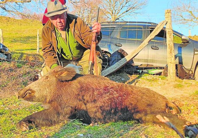 El veterano cazador Chichi Polanco, con el jabalí que abatió en Cieza Norte en una cacería de la cuadrilla 23, dirigida por Segundo Polanco, en la que se cazaron los cuatro animales autorizados.