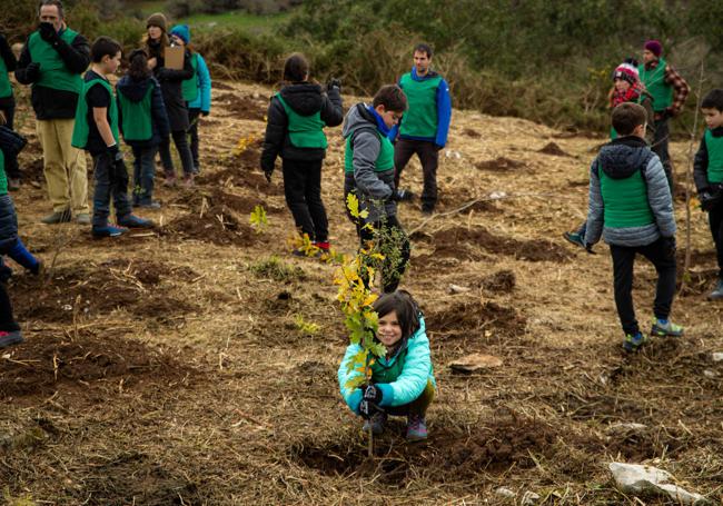 La primera plantación ha sido en colaboración con la Academia de Cine, entrada a la red de senderos.