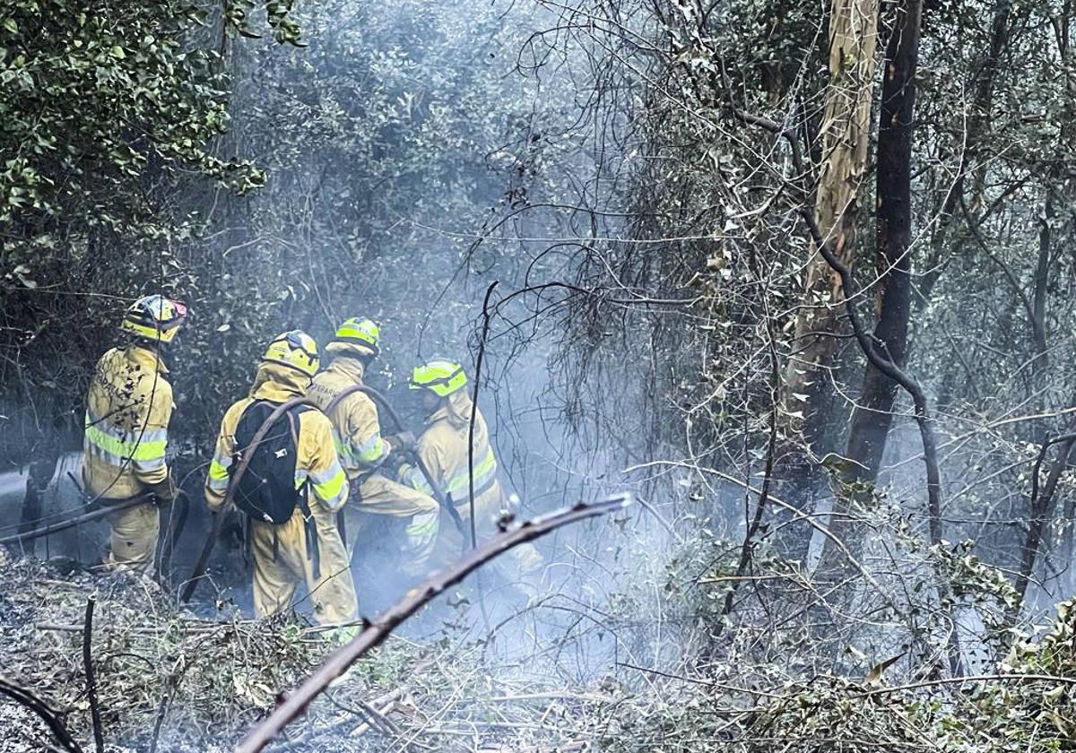 Labores de extinción en la ladera norte de Peña Cabarga