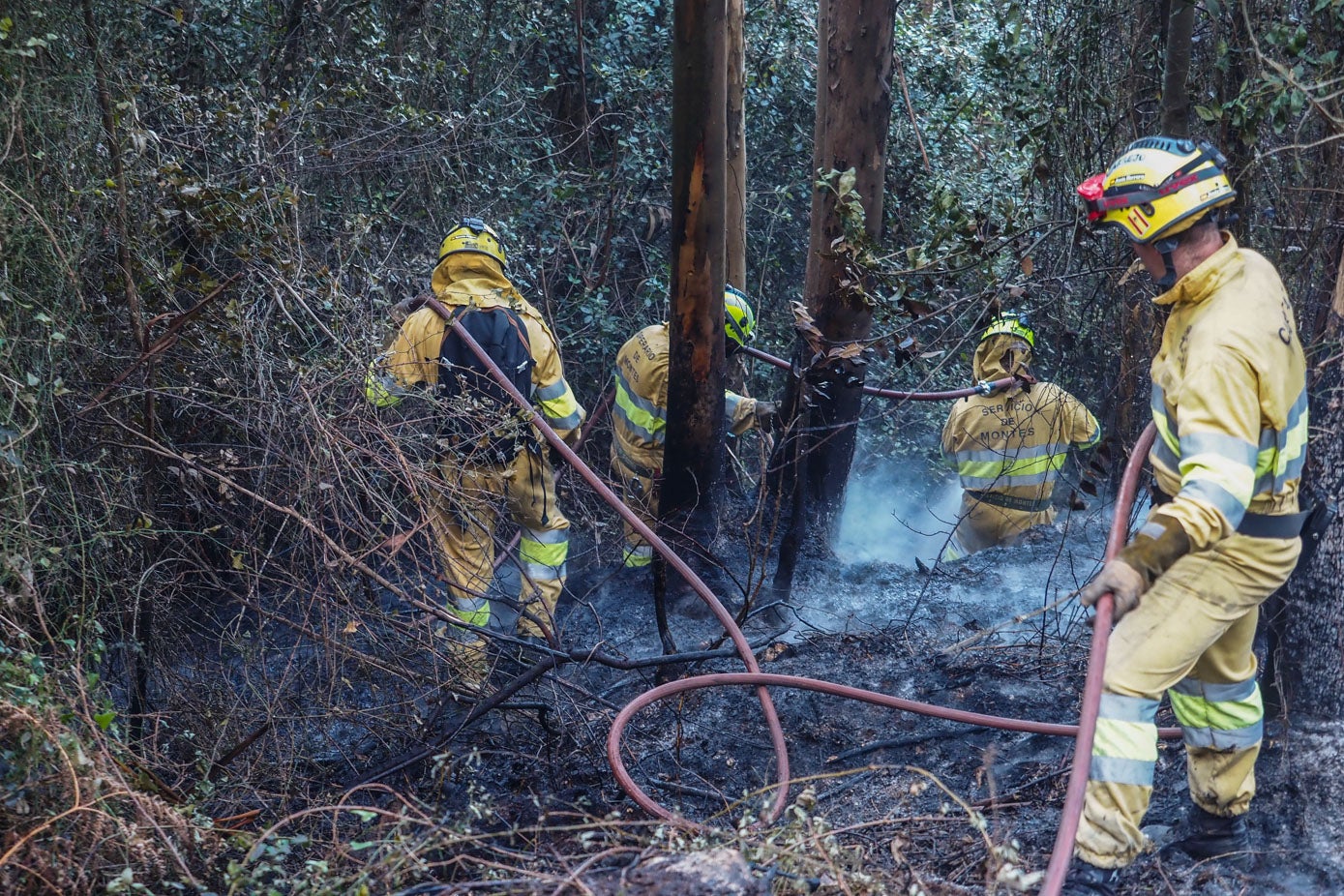 Las cuadrillas del Servicio de Montes, bomberos y agentes del Medio Natural, han estado trabajando desde las ocho de la tarde del martes hasta el medio día del miércoles