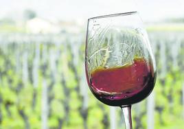 Copa de vino tinto con unos viñedos en segundo plano.