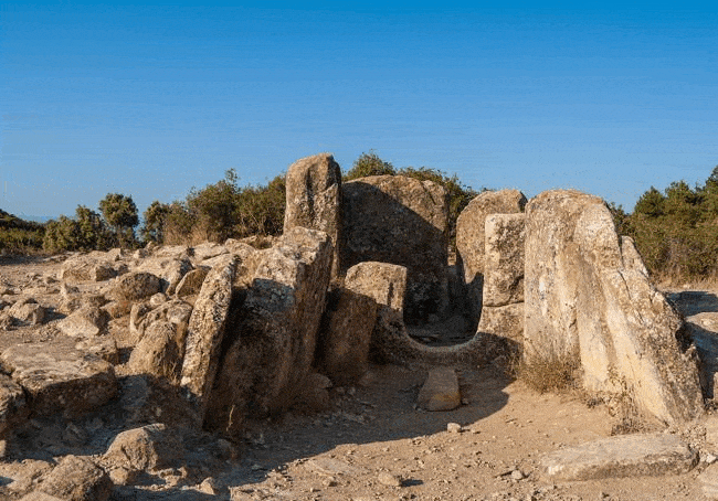 Seis senderos por bosques y praderas de Navarra para perezosos